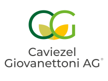 Caviezel Giovanettoni Caviezel Giovanettoni